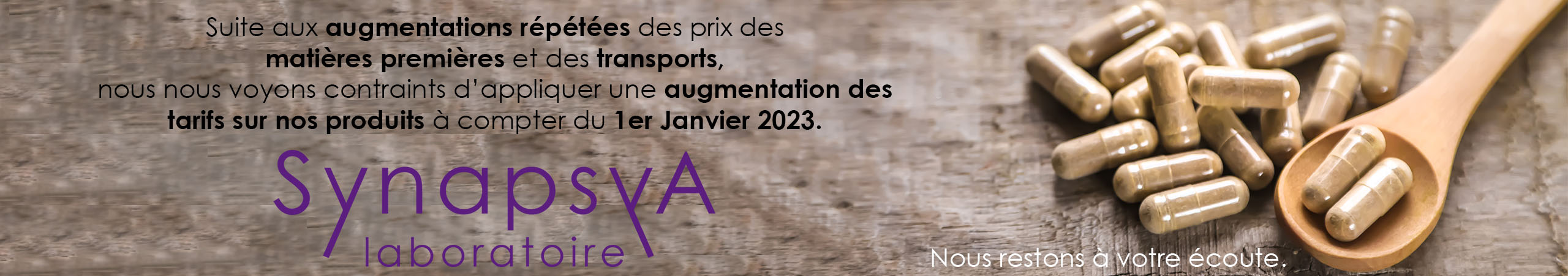 Synapsya Janvier 2023