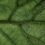Tribune libre Patrick Sac Epee Neurophytotherapie