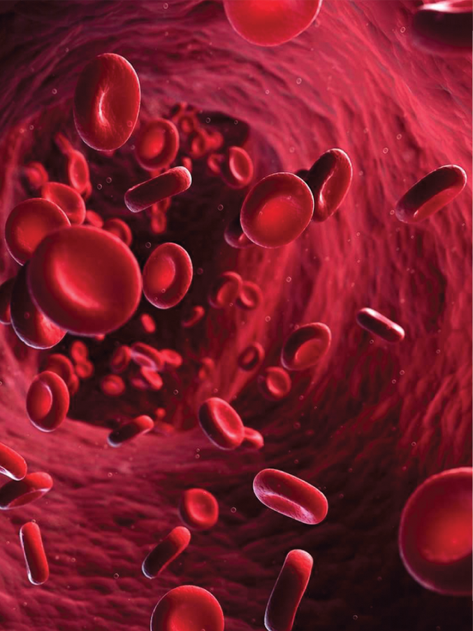 Image globules rouges pour article fluidifier le trafic microsanguin