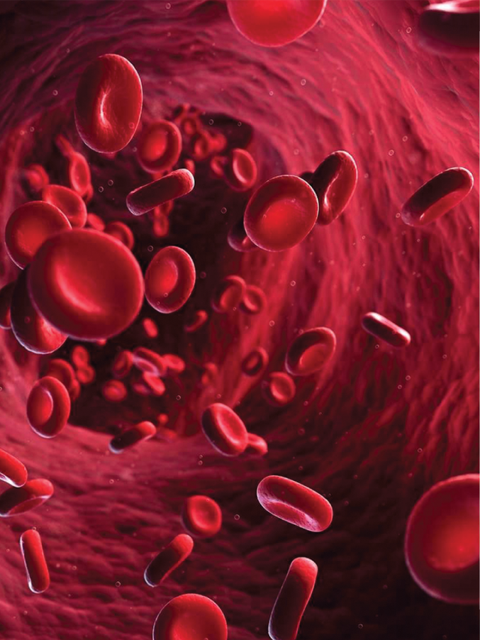 globules-rouges-taxifoline Image globules rouges pour article fluidifier le trafic microsanguin