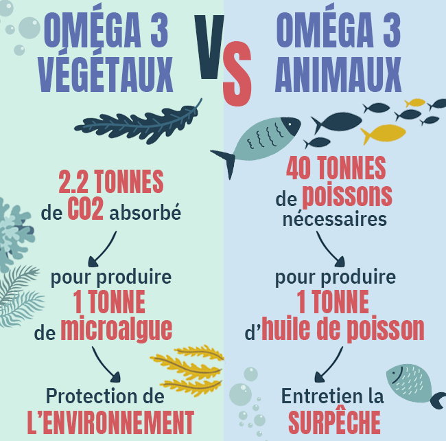 Oméga 3 végétaux vs Oméga 3 animaux