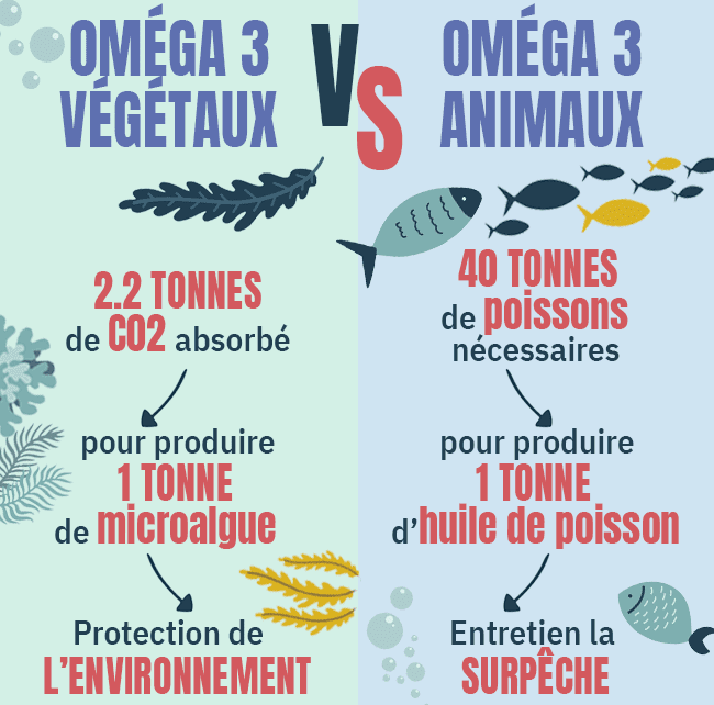 omega3 vegetal omega 3 vegetaux vs animaux